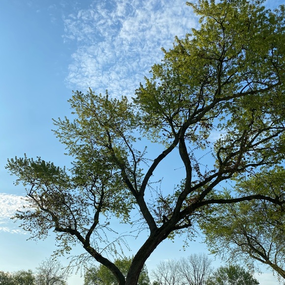 Meet your Posher, Kate - Picture 13 of 17